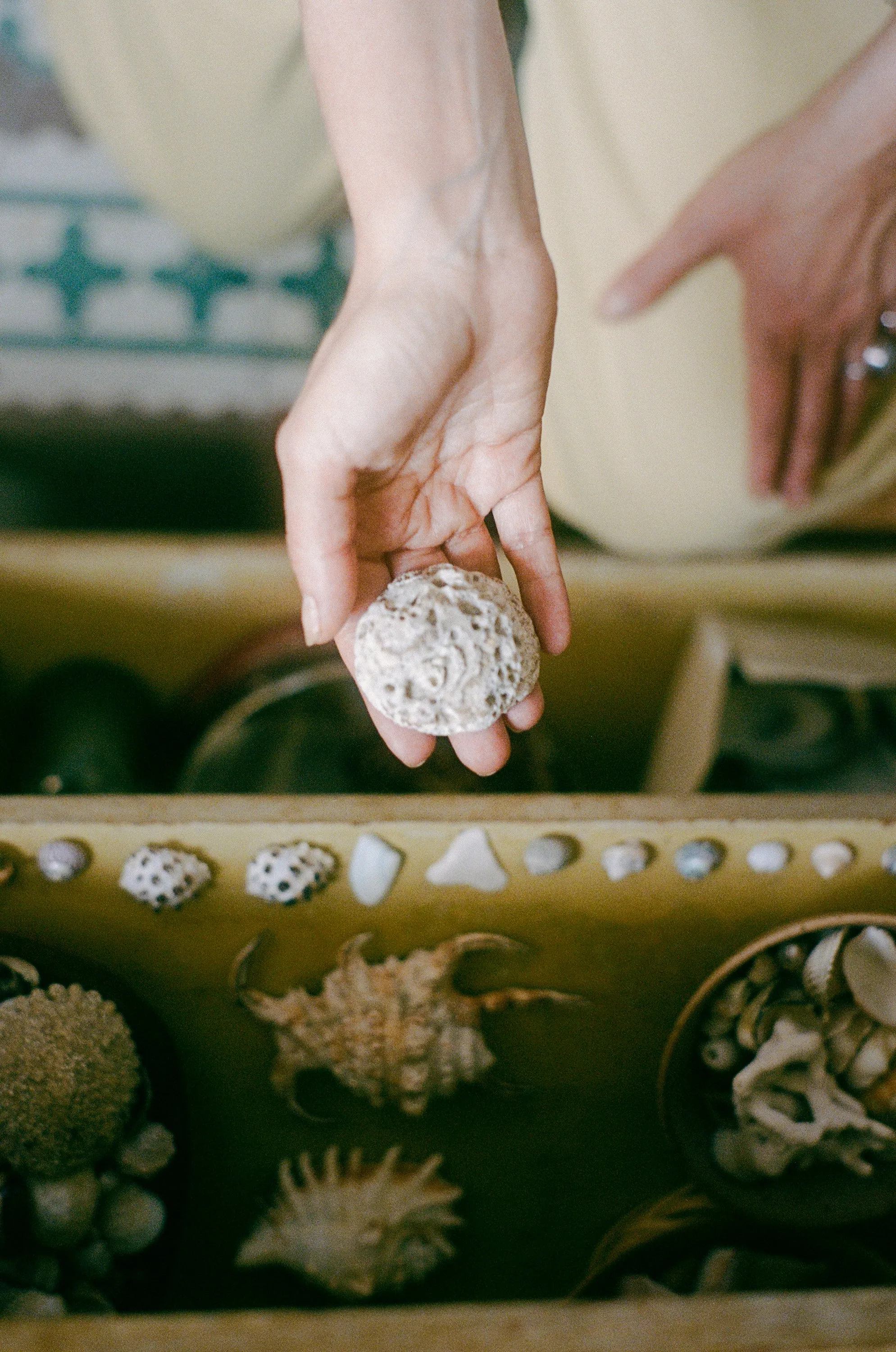 OZMA x La ma r Seashell Hair Barrette No. 19